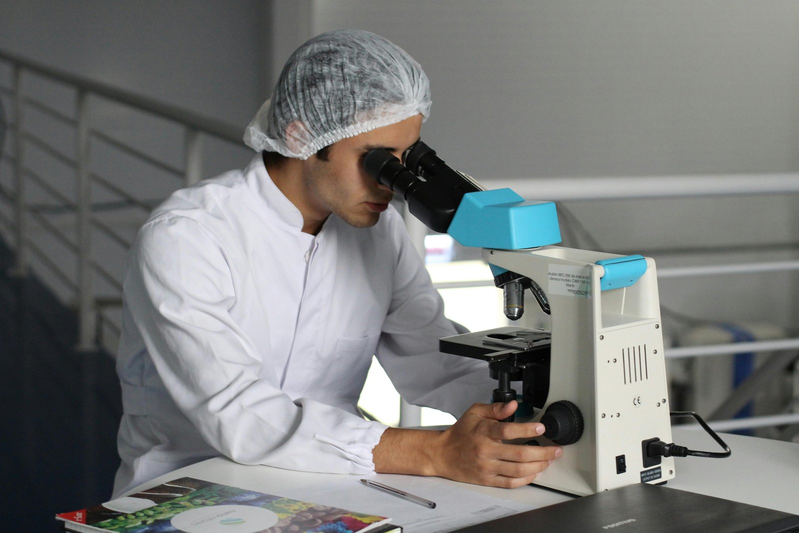 lab
